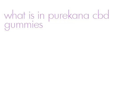 what is in purekana cbd gummies