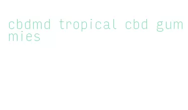 cbdmd tropical cbd gummies