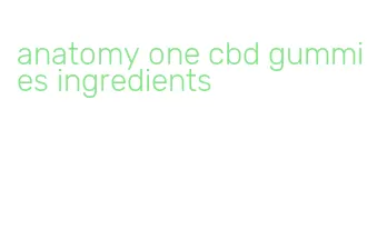 anatomy one cbd gummies ingredients