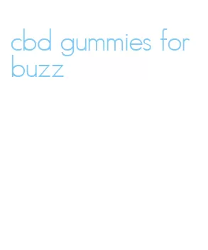 cbd gummies for buzz