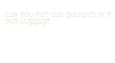can you put cbd gummies in your luggage