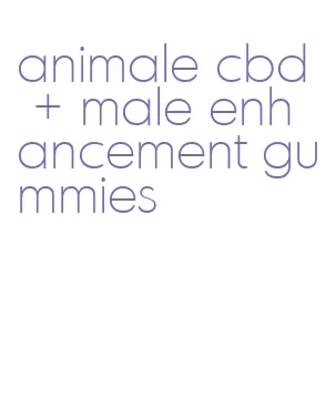 animale cbd + male enhancement gummies