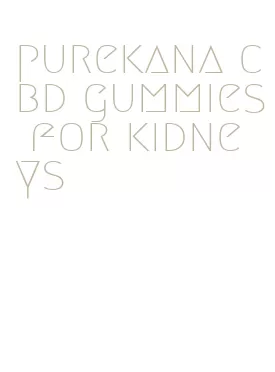 purekana cbd gummies for kidneys