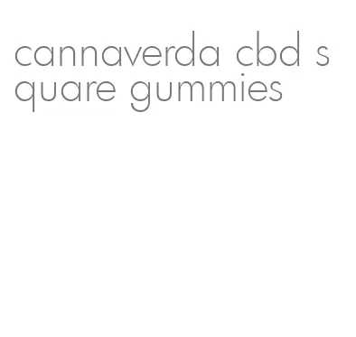 cannaverda cbd square gummies