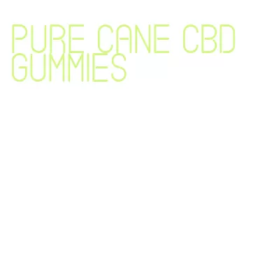 pure cane cbd gummies