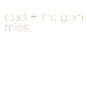 cbd + thc gummies