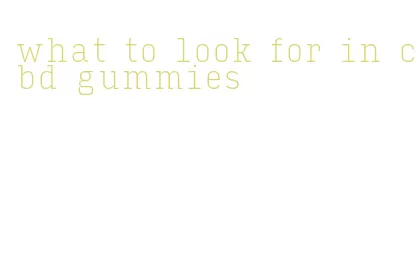 what to look for in cbd gummies