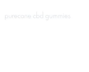 purecane cbd gummies