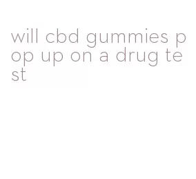 will cbd gummies pop up on a drug test