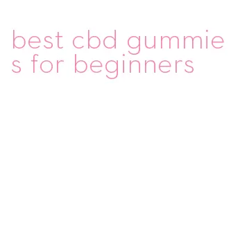 best cbd gummies for beginners