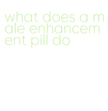 what does a male enhancement pill do