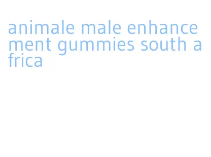 animale male enhancement gummies south africa