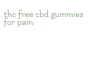 thc free cbd gummies for pain