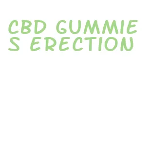 cbd gummies erection