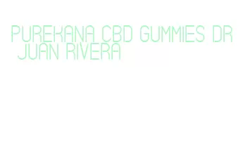 purekana cbd gummies dr juan rivera
