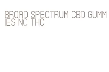 broad spectrum cbd gummies no thc