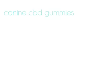 canine cbd gummies