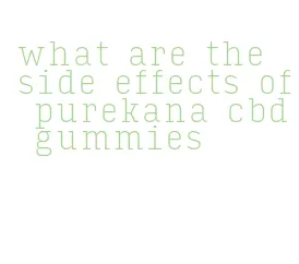 what are the side effects of purekana cbd gummies