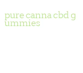 pure canna cbd gummies