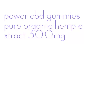 power cbd gummies pure organic hemp extract 300mg