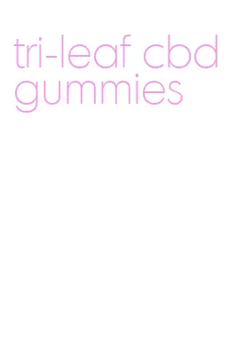 tri-leaf cbd gummies