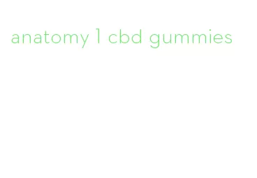 anatomy 1 cbd gummies