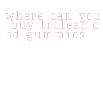 where can you buy trileaf cbd gummies