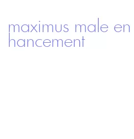 maximus male enhancement