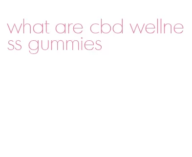 what are cbd wellness gummies