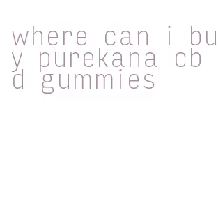 where can i buy purekana cbd gummies
