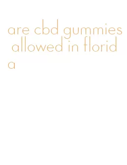 are cbd gummies allowed in florida
