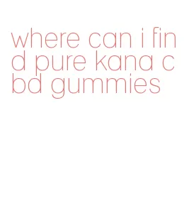 where can i find pure kana cbd gummies