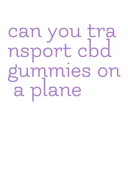 can you transport cbd gummies on a plane
