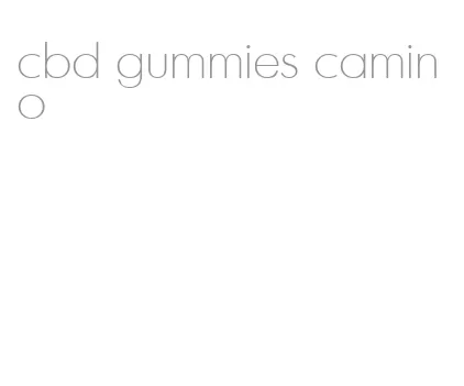 cbd gummies camino