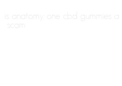 is anatomy one cbd gummies a scam