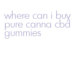 where can i buy pure canna cbd gummies