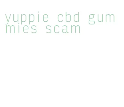 yuppie cbd gummies scam