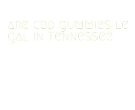 are cbd gummies legal in tennessee