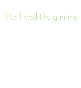 1 to 1 cbd thc gummy