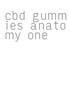 cbd gummies anatomy one