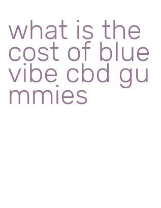 what is the cost of blue vibe cbd gummies