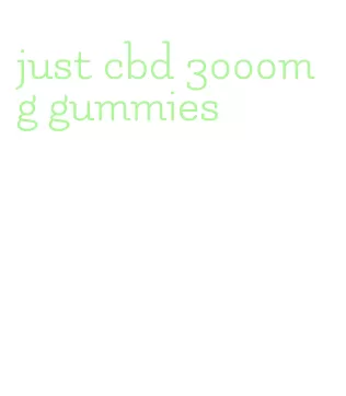 just cbd 3000mg gummies